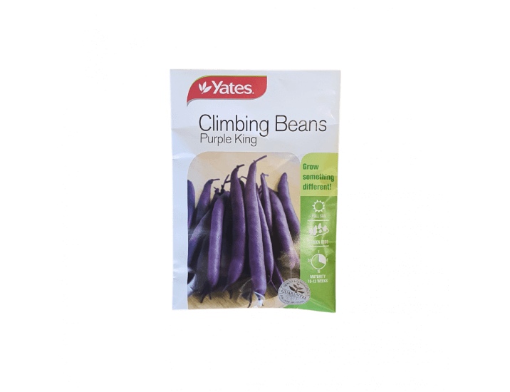 Climbing Beans purple king  PadWzcxNiw1NTAsIkZGRkZGRiIsMF0