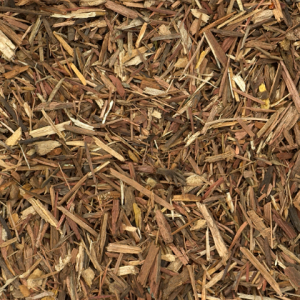 Forest Fines