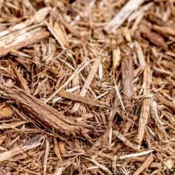 Cypress Mulch