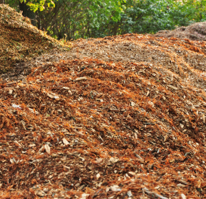 Leaf Mulch