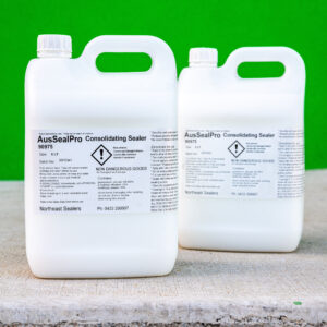AusSeal Pro Consolidating Sealer